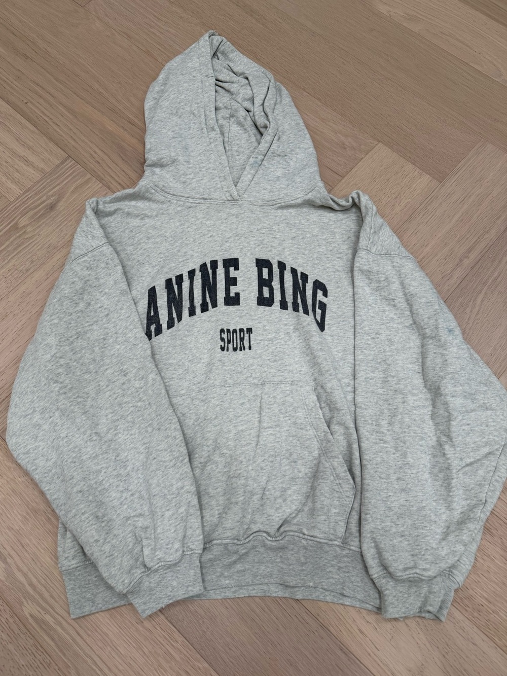 Anine Bing Harvey Logo Hoodie